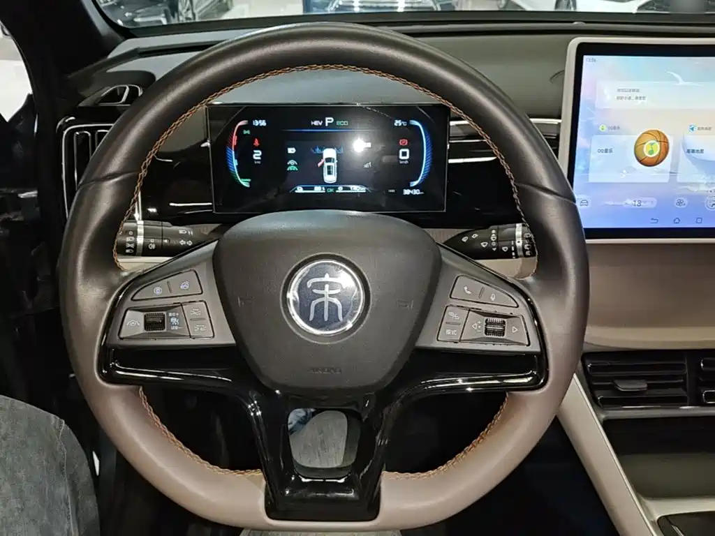BYD Pro New Energy — миниатюра 11