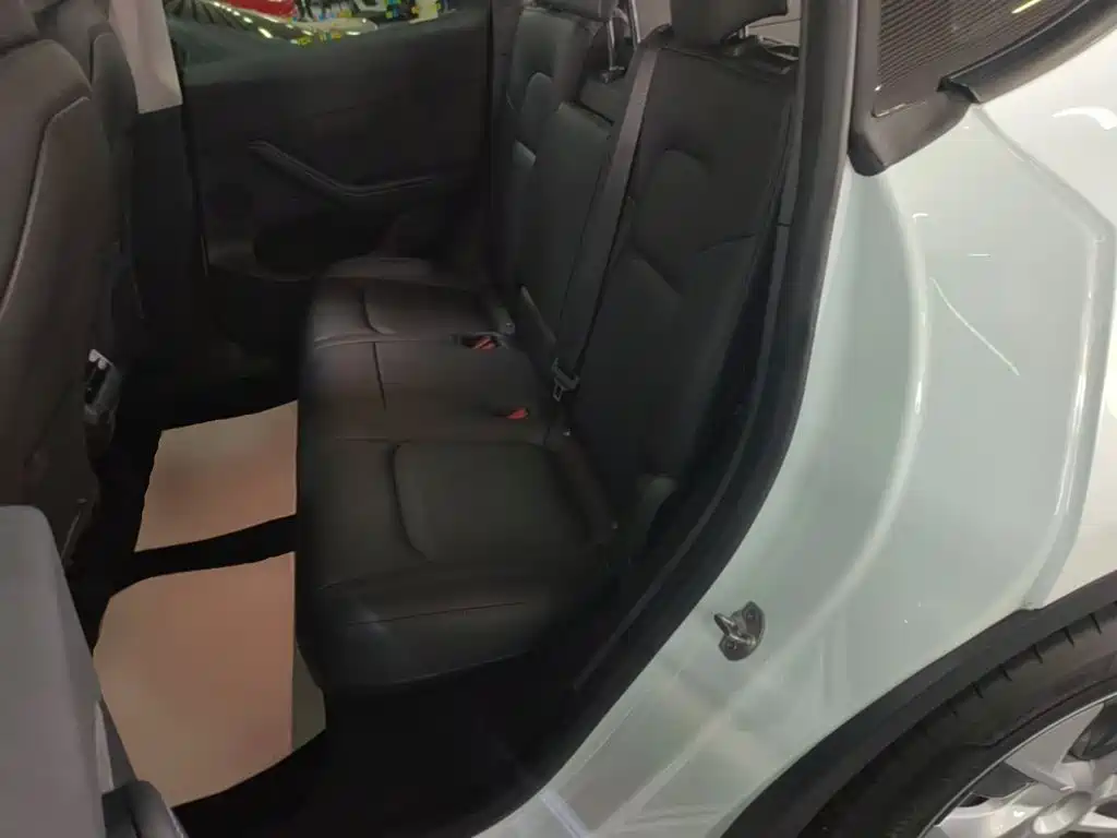 Tesla Model Y — миниатюра 17