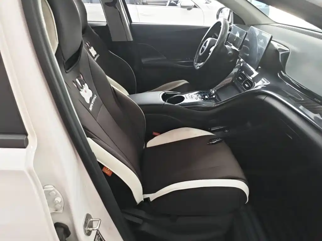BYD e2 — миниатюра 25