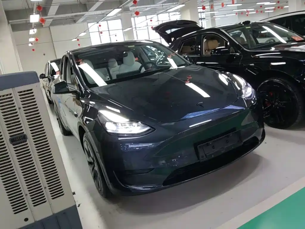 Tesla Model Y — миниатюра 4