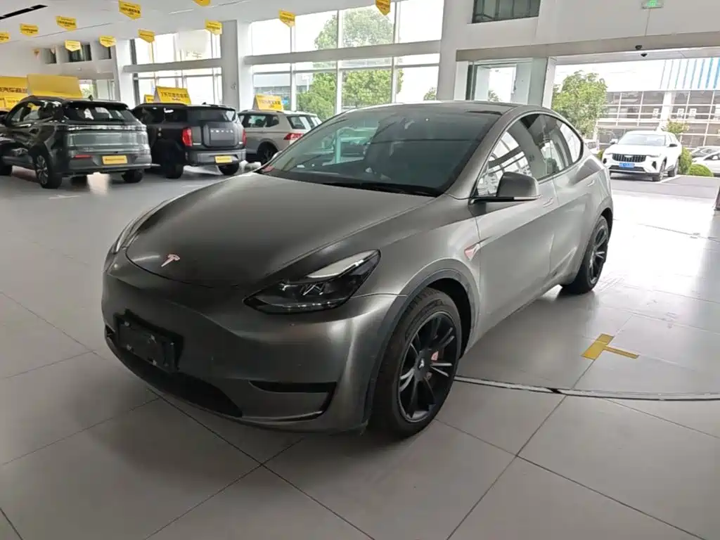 Tesla Model Y — миниатюра 2