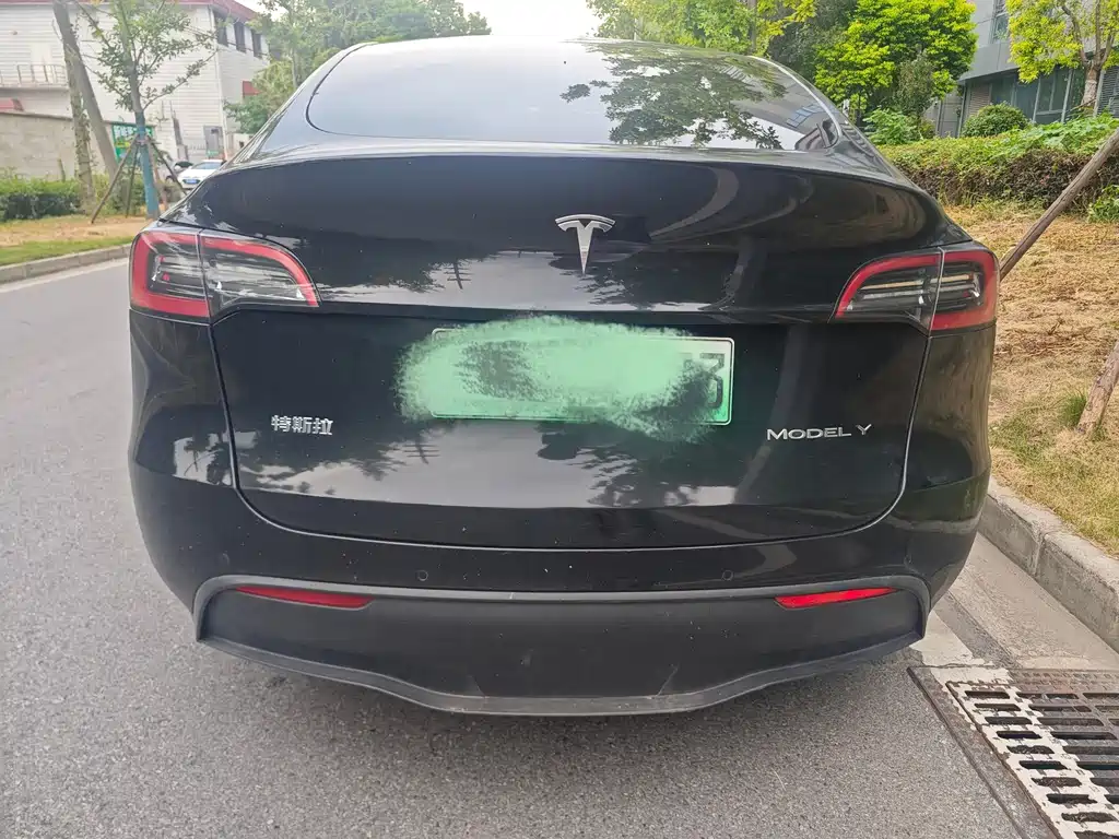 Tesla Model Y — миниатюра 5