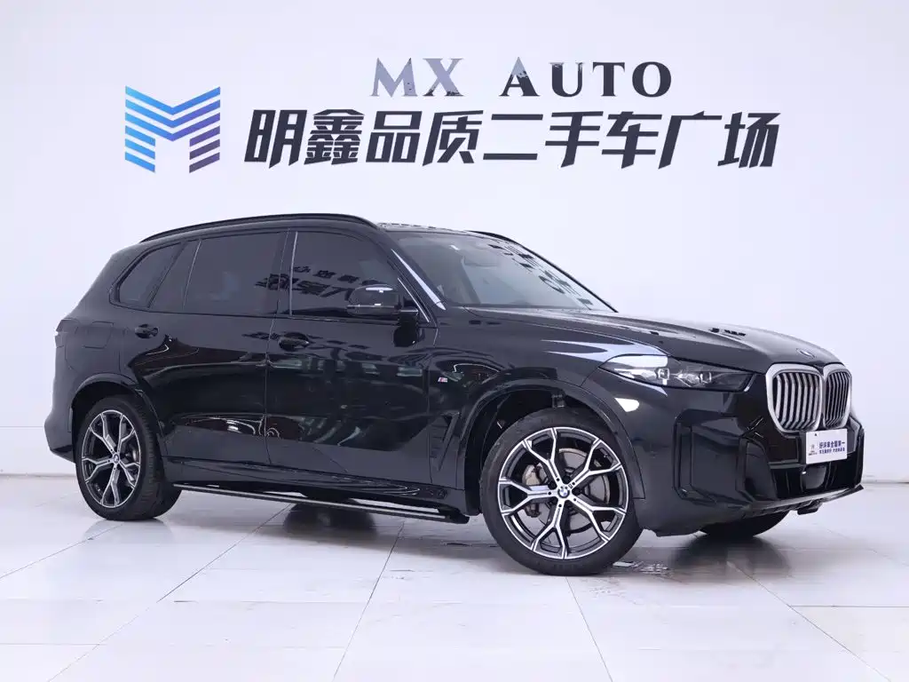 BMW X5 — миниатюра 5