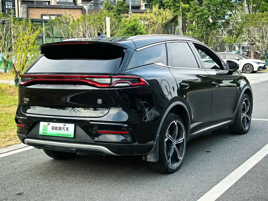 BYD Tang New Energy — миниатюра 16