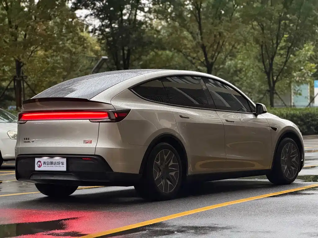 Tesla Model Y L — миниатюра 6