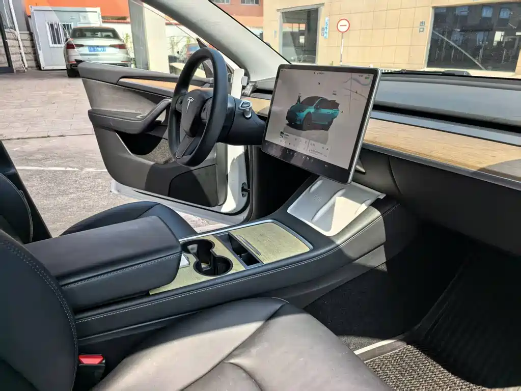 Tesla Model Y — миниатюра 11