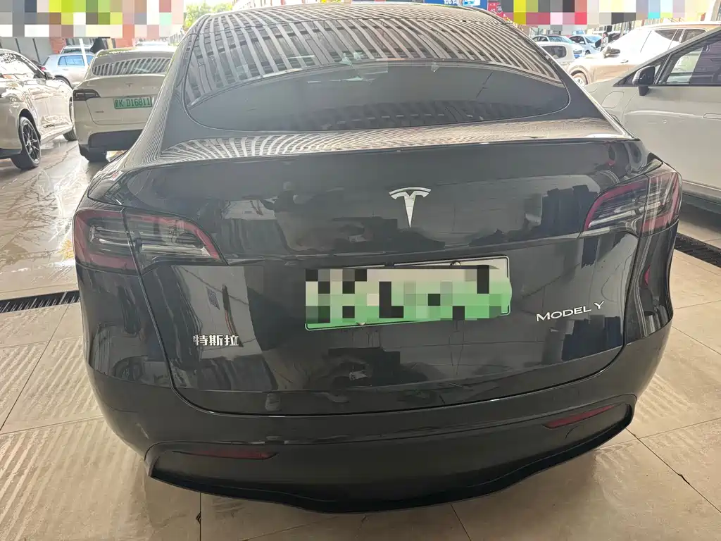 Tesla Model Y — миниатюра 11