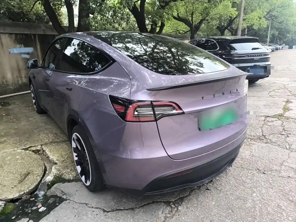 Tesla Model Y — миниатюра 5
