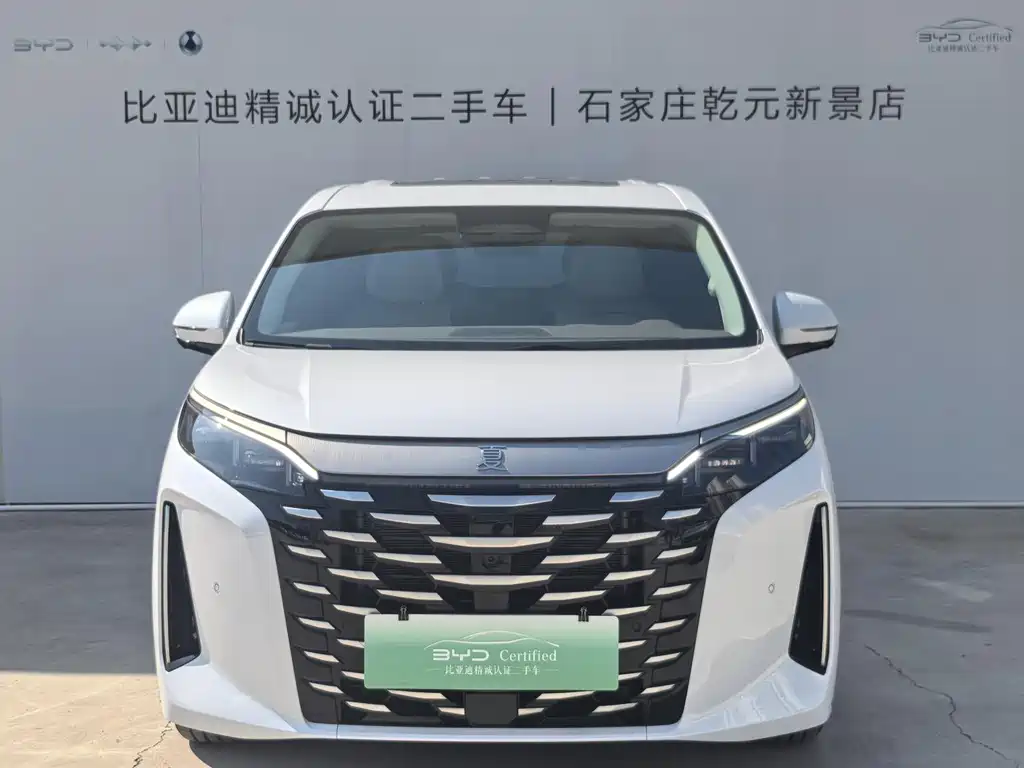 BYD Xia — миниатюра 2