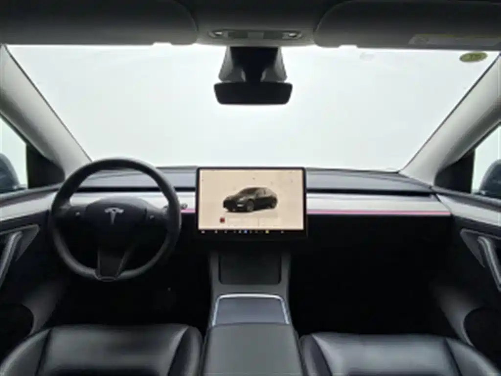 Tesla Model Y — миниатюра 4