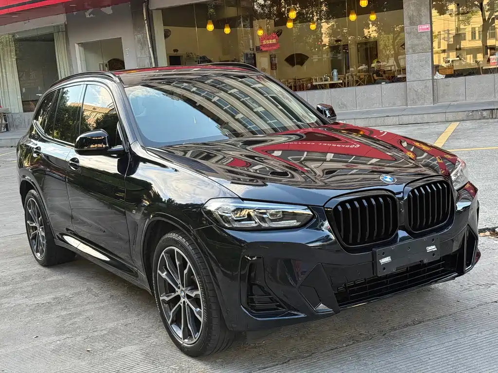 BMW X3 — миниатюра 3