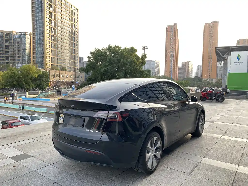 Tesla Model Y — миниатюра 4