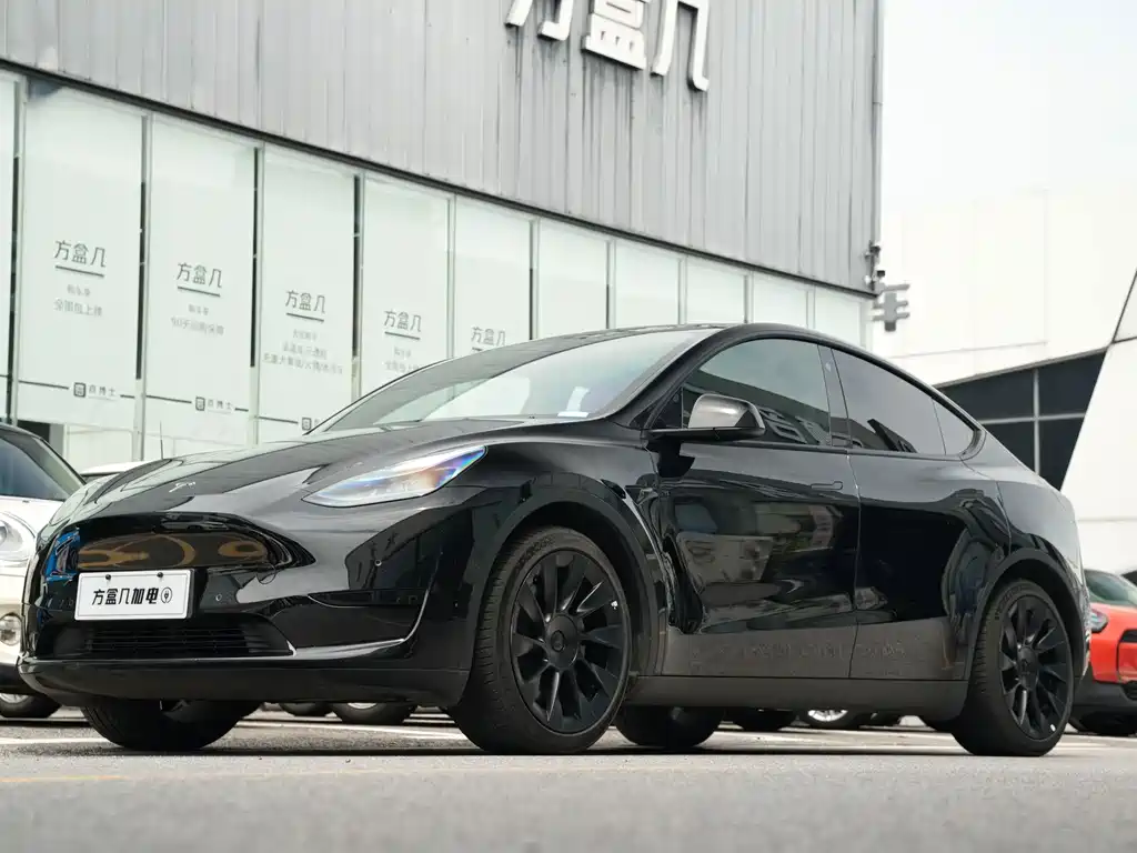 Tesla Model Y — миниатюра 2