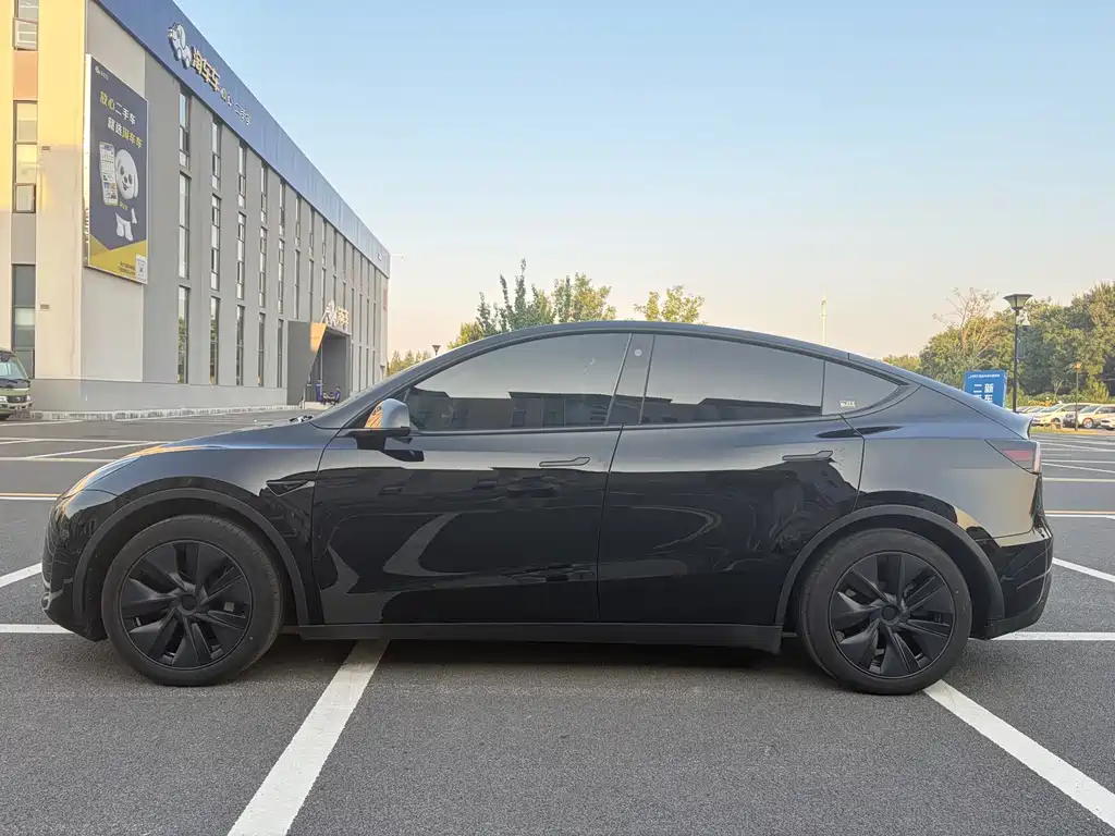 Tesla Model Y — миниатюра 3