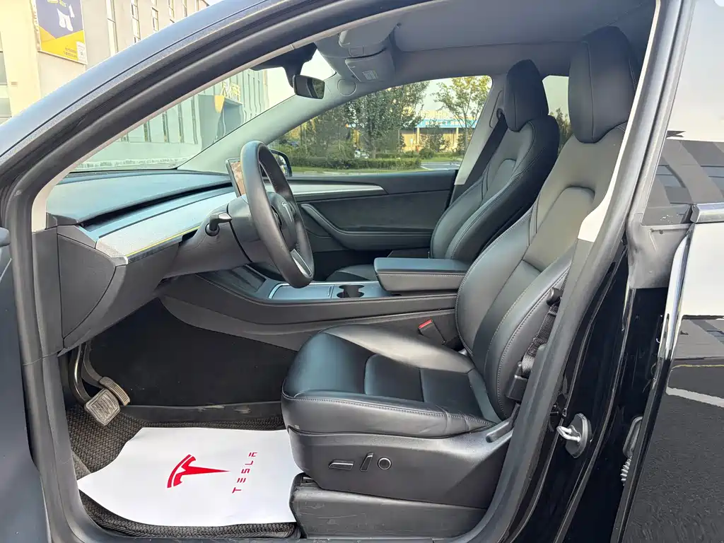 Tesla Model Y — миниатюра 10