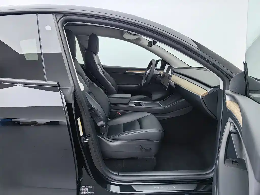 Tesla Model Y — миниатюра 23