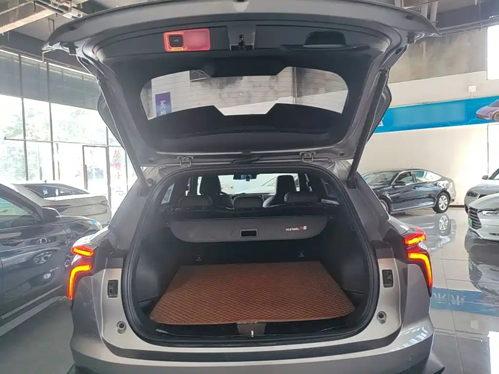 Haval Shenshou — миниатюра 19