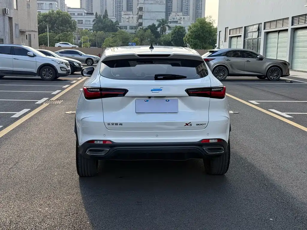 Oshan Oushang X5 — миниатюра 8
