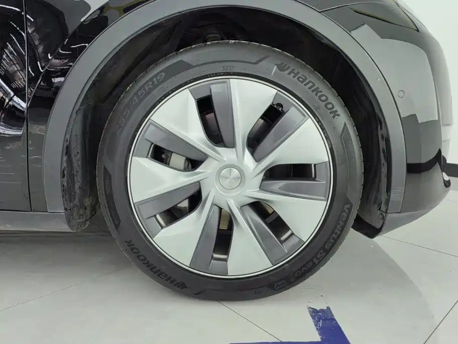 Tesla Model Y — миниатюра 6