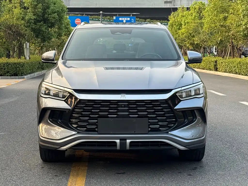 BYD Pro New Energy — миниатюра 2