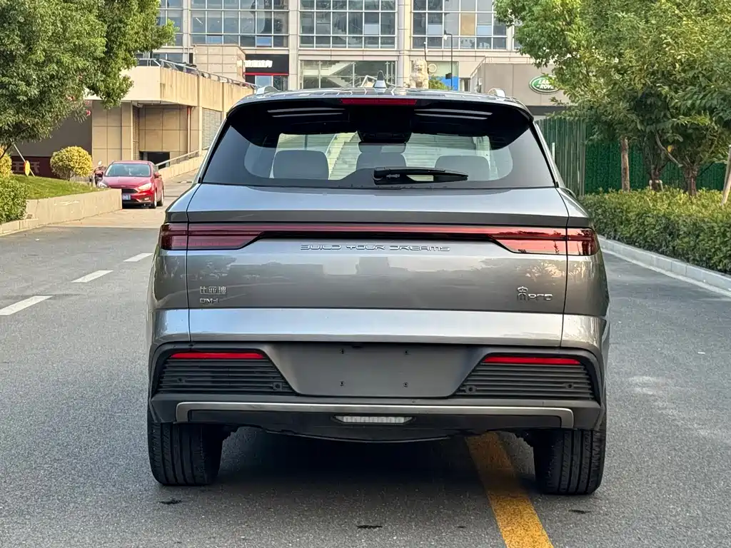 BYD Pro New Energy — миниатюра 4