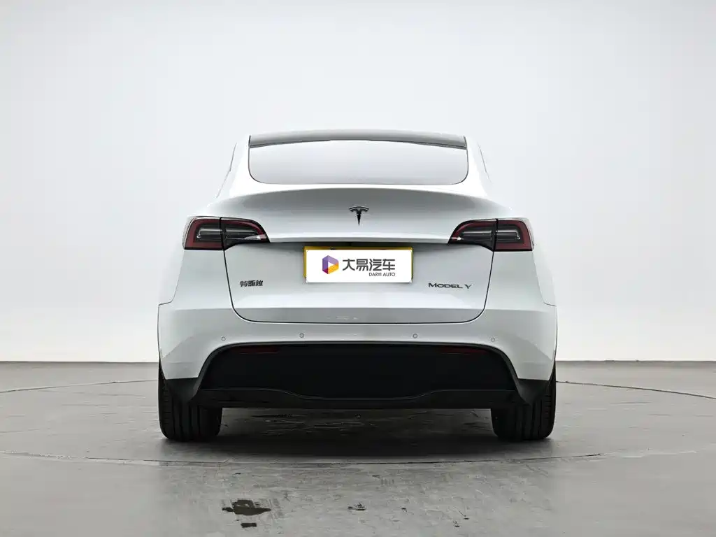 Tesla Model Y — миниатюра 4