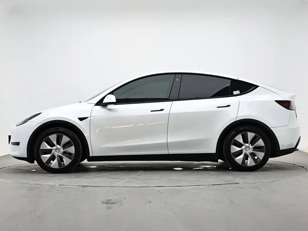 Tesla Model Y — миниатюра 6