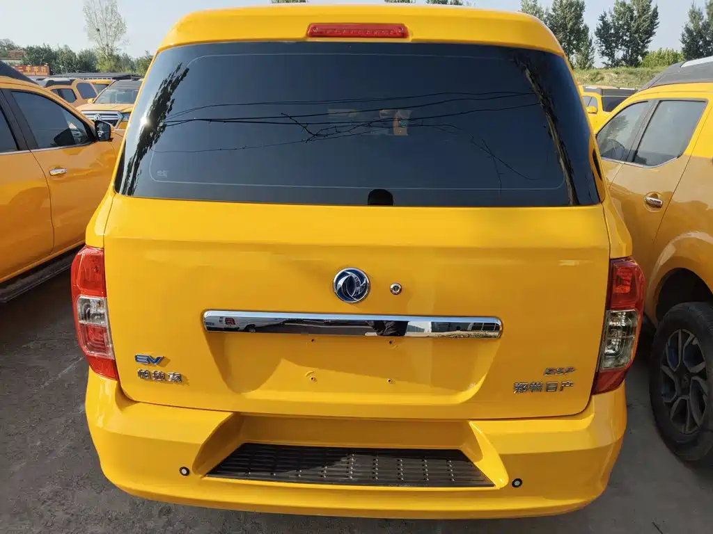 Dongfeng Rich 6 New Energy — миниатюра 6
