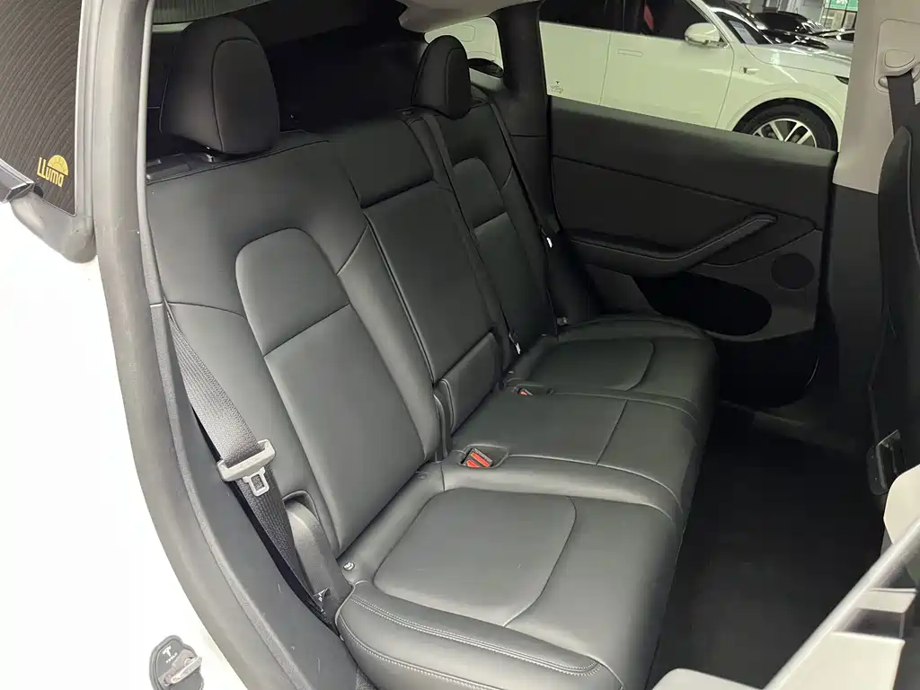 Tesla Model Y — миниатюра 19