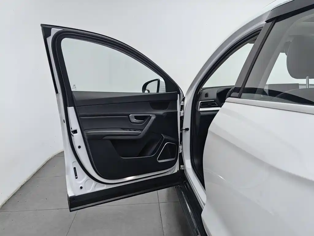 BYD Pro — миниатюра 8