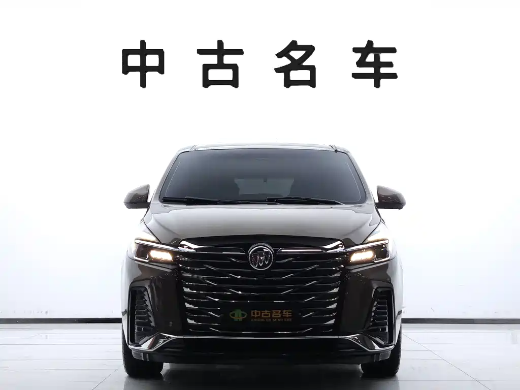 Buick GL8 — миниатюра 2