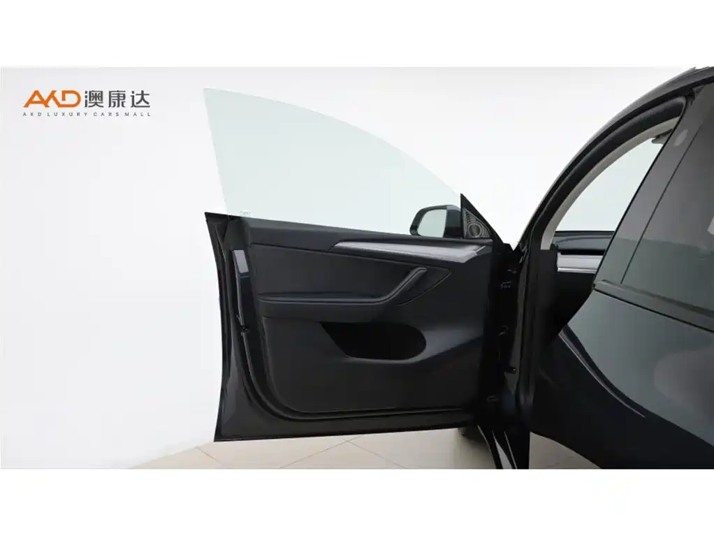 Tesla Model Y — миниатюра 10