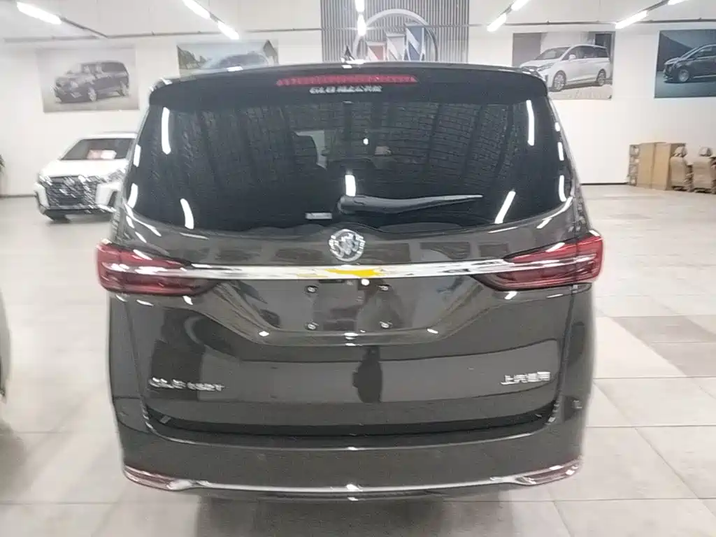 Buick GL8 — миниатюра 6