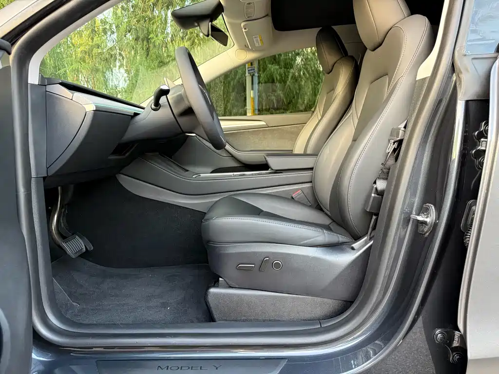 Tesla Model Y — миниатюра 11