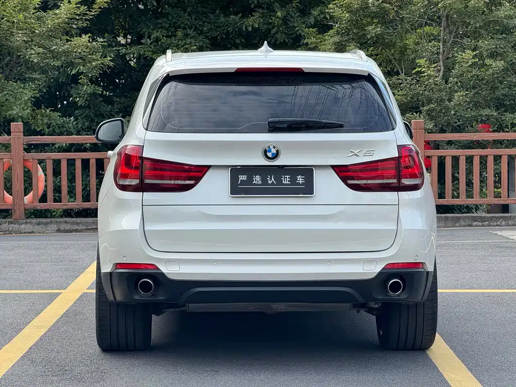 BMW X5 (Import) — миниатюра 5