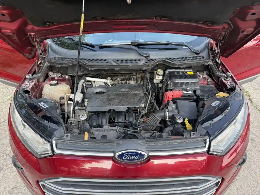 Ford Ecosport — миниатюра 10
