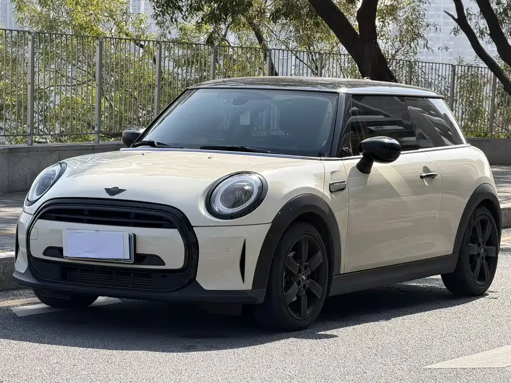 Mini Mini 2023