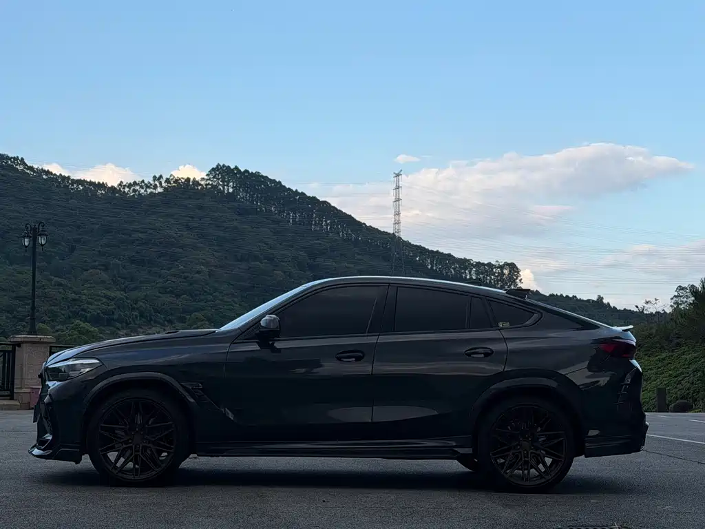 BMW X6 — миниатюра 4
