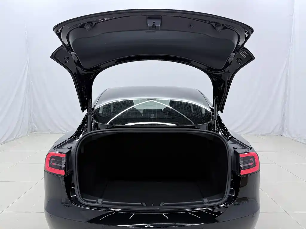 Tesla Model 3 — миниатюра 15