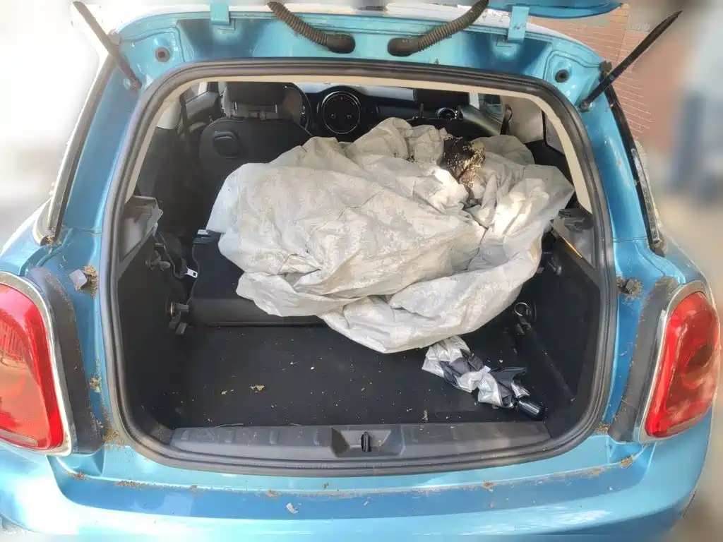 MINI Mini — миниатюра 20