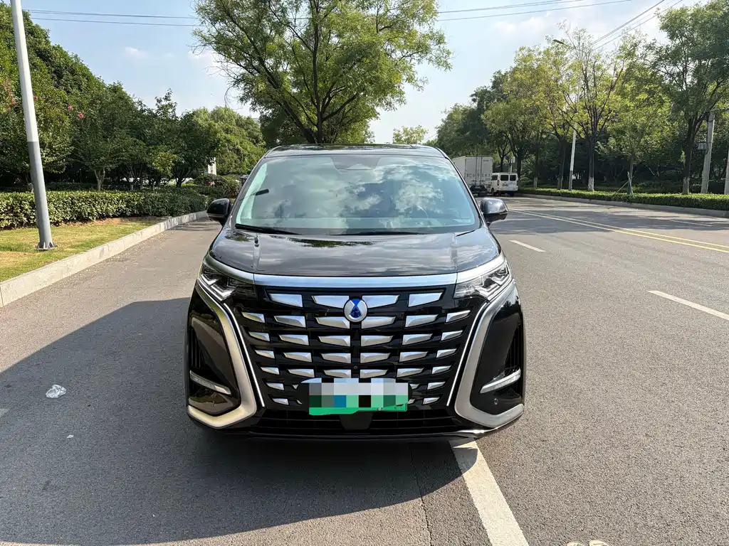 Denza Denza D9 — миниатюра 2