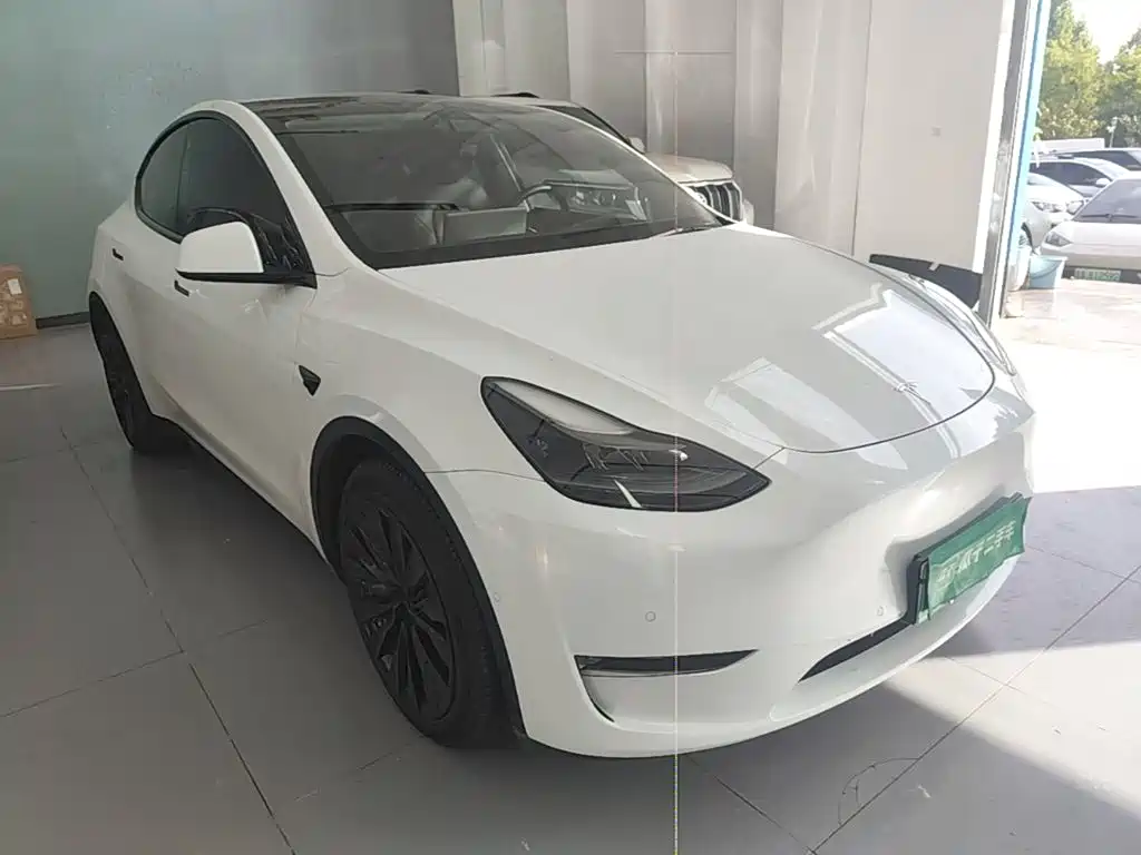 Tesla Model Y — миниатюра 4