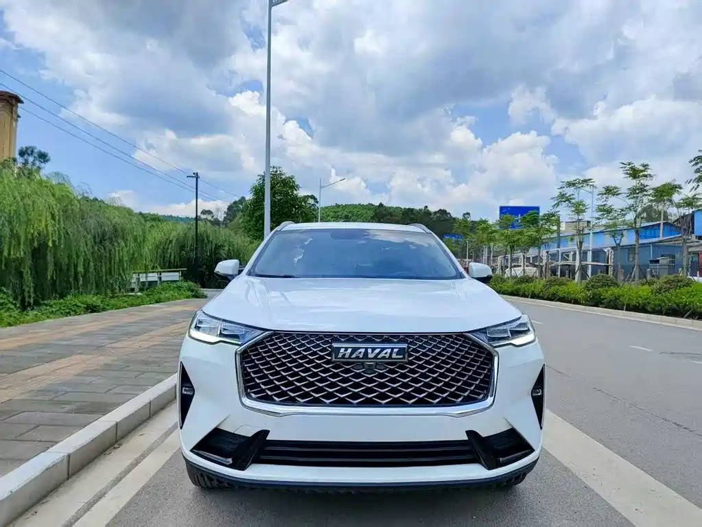 Haval H6 — миниатюра 2