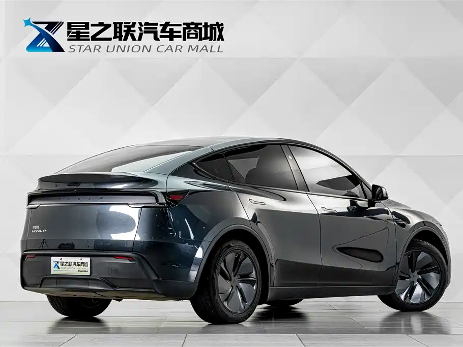Tesla Model Y — миниатюра 6
