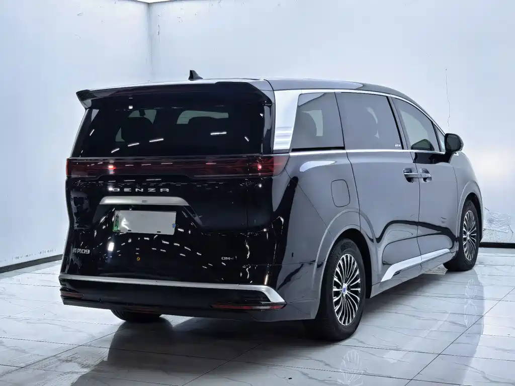 Denza Denza D9 — миниатюра 7