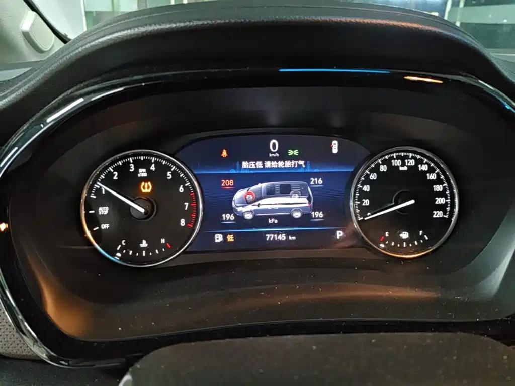 Buick GL8 — миниатюра 12