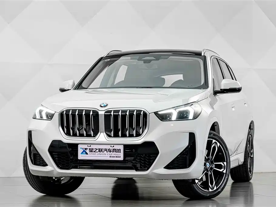 BMW X1 — миниатюра 2