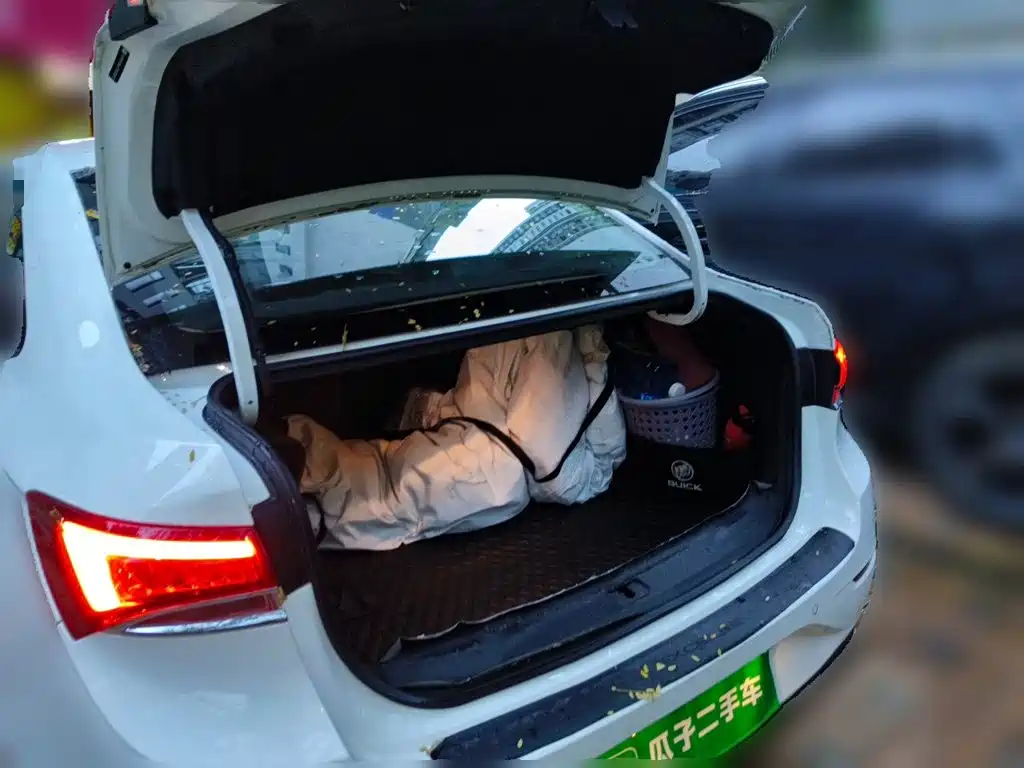 Buick Excelle — миниатюра 15