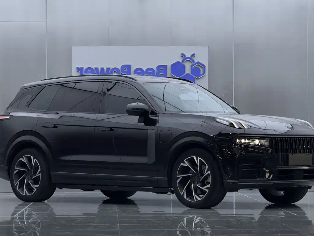 Lynk & Co 09 EM-P 2021 2.0T PHEV Halo мест