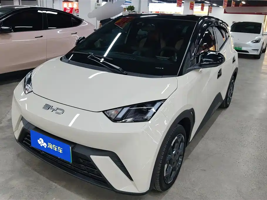 BYD Seagull 2025 305km Freedom